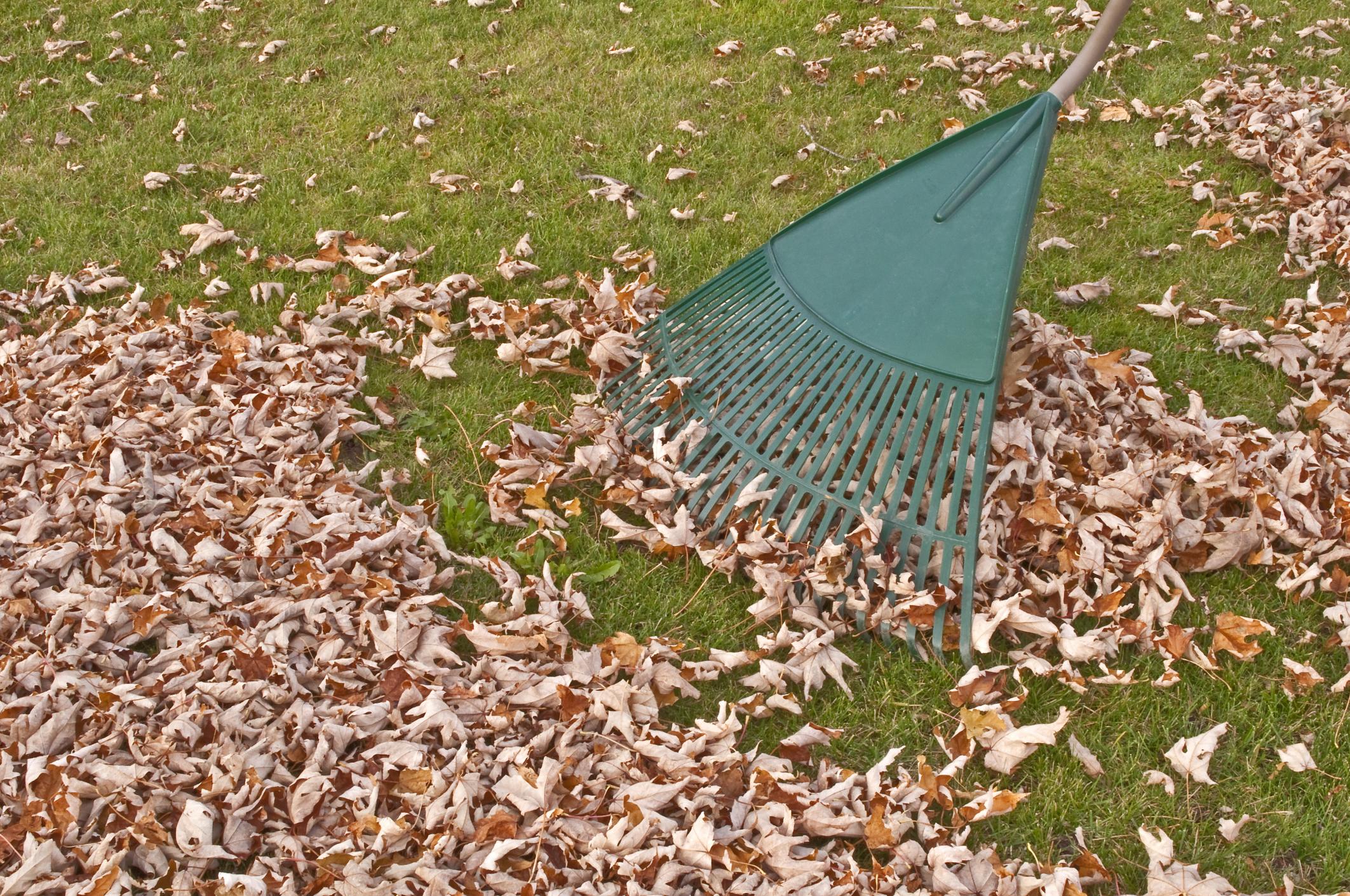 Fall Lawn Cleanup Is A Breeze