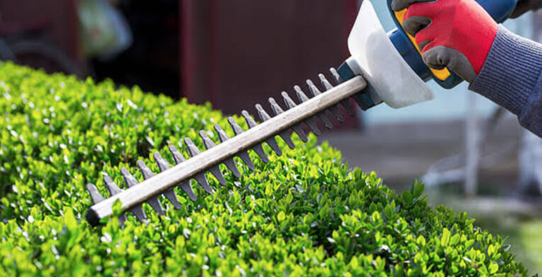 Lawn Edging Services Nassau County