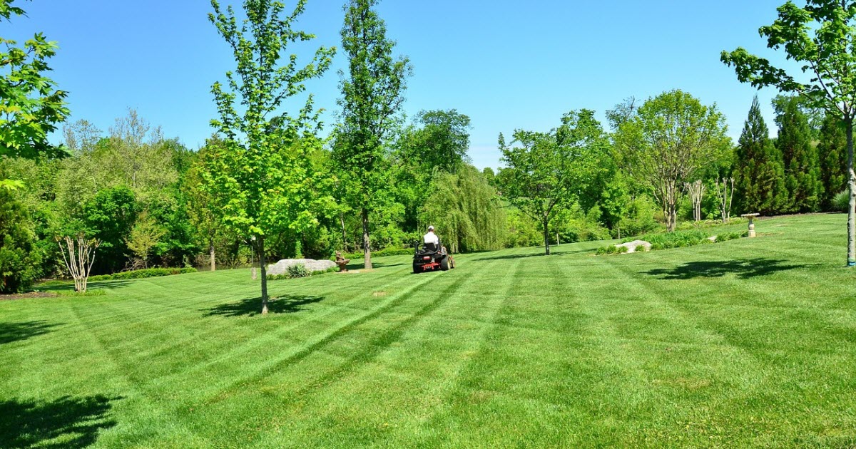 Perfect Lawn Mowing Mastery