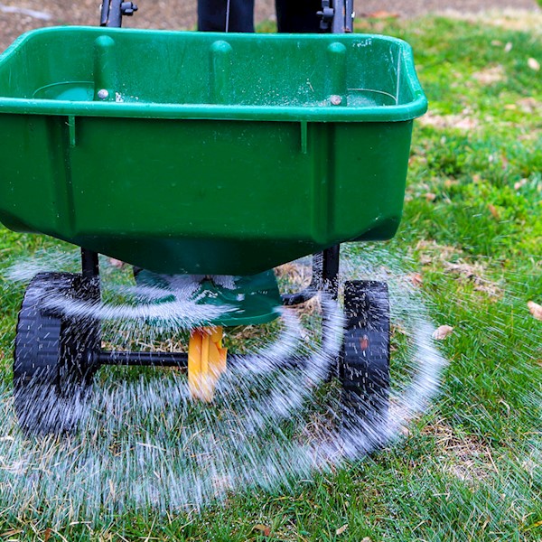 How to Properly Fertilize Your Lawn