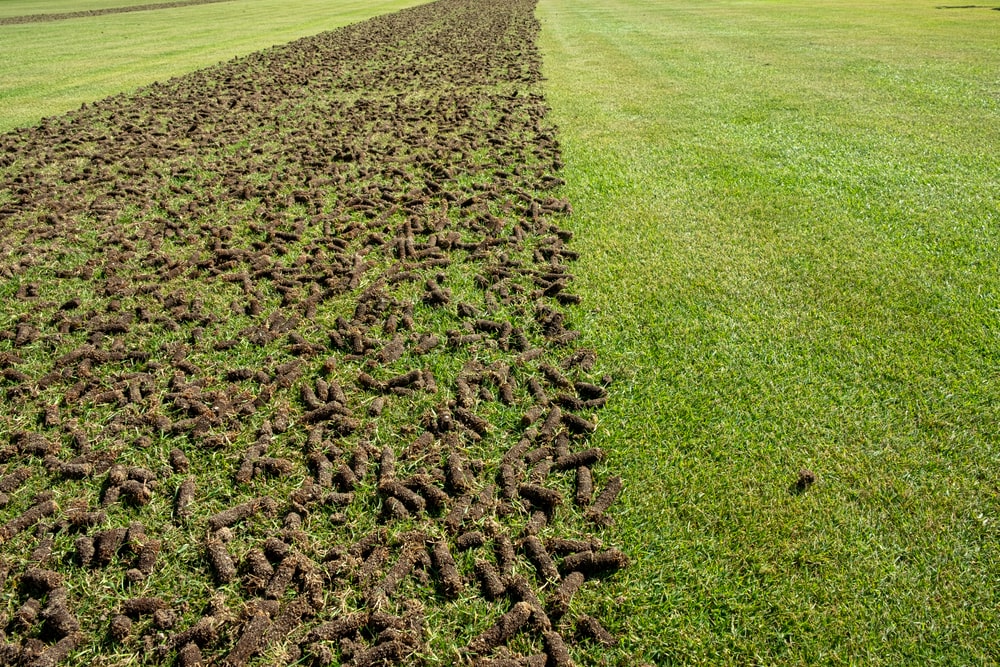 Aeration and Seeding for Dethatching