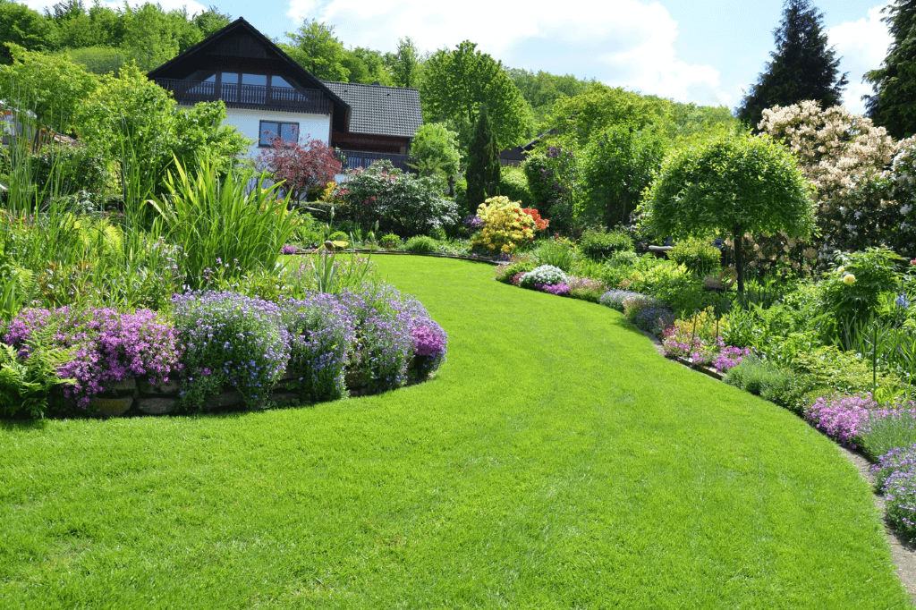 Lawn Care: Steps for Healthy Yard