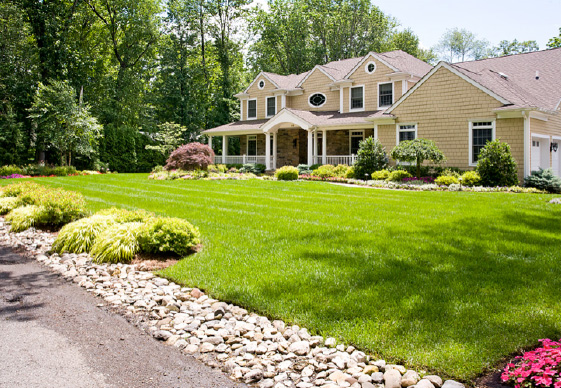 Achieving Affordable Lawn Care in Nassau