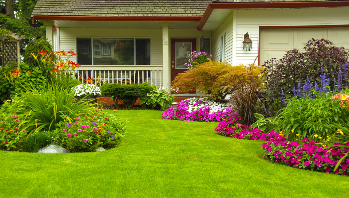 Maintaining a Lush Lawn