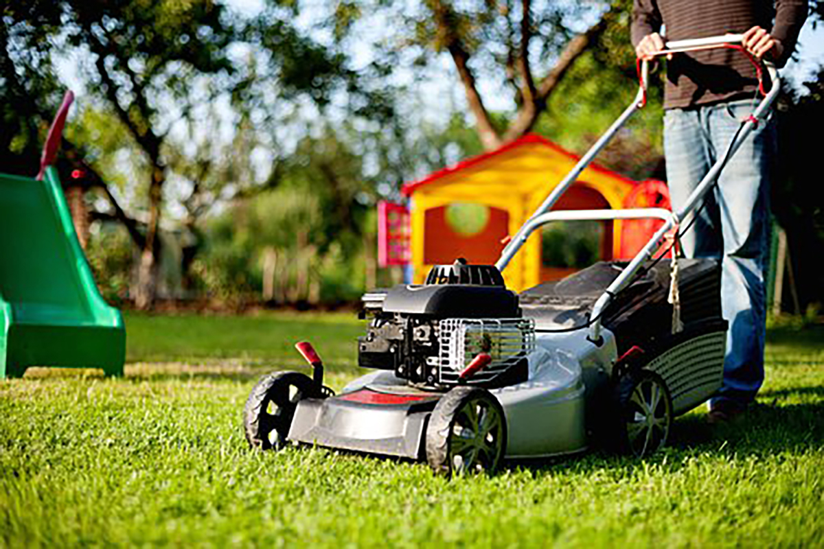 Master Year-Round Lawn Care