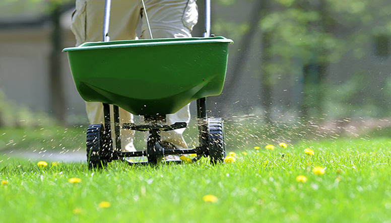 Maximize Lawn with Fertilization