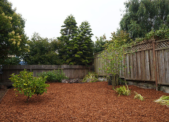 Mulching Matters: Best Practices