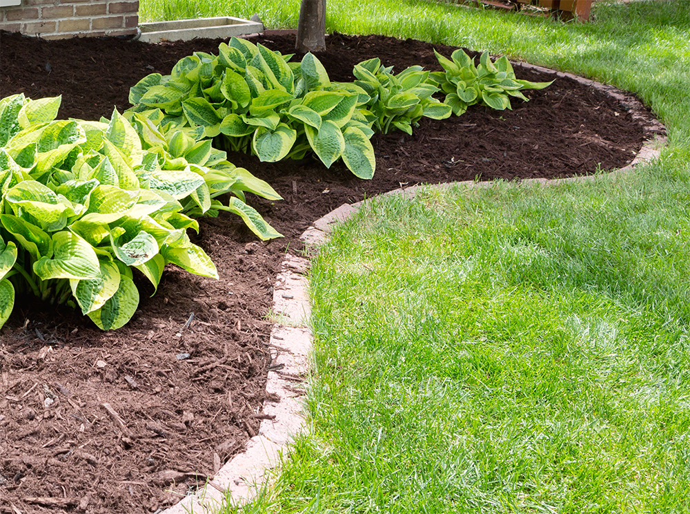 Mulching and Pulling Weeds in Fall