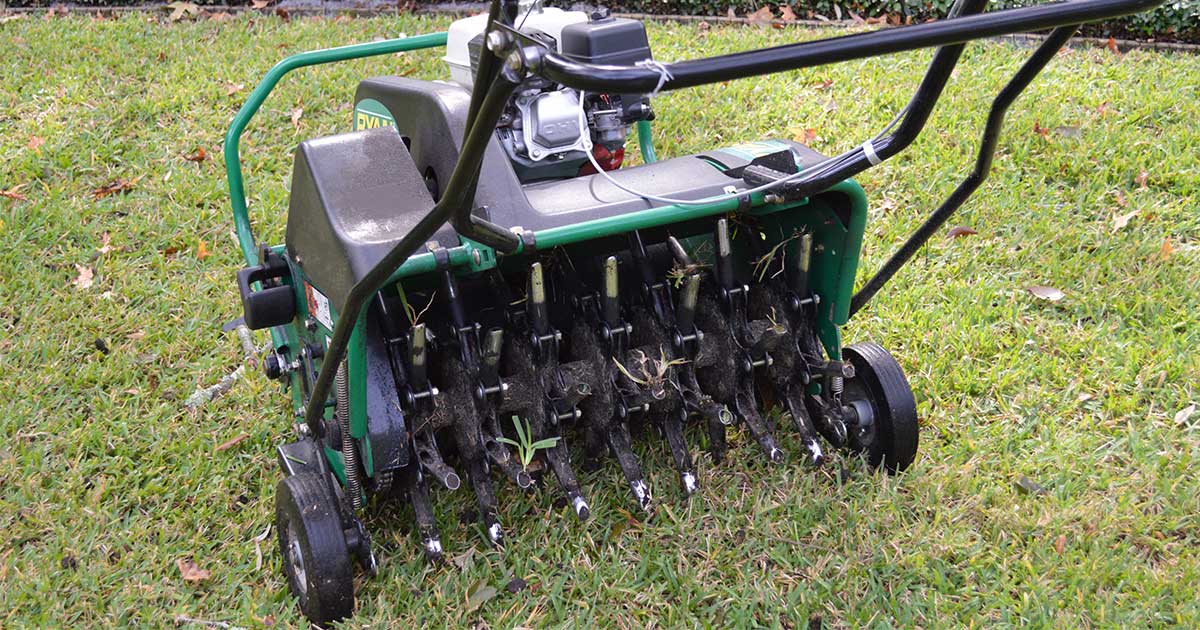 Reasons to Aerate Your Lawn
