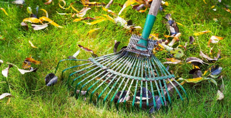 Lawn Spring Cleanup Services Nassau County