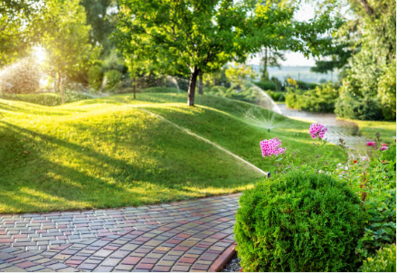 Sustainable Lawn Care Practices