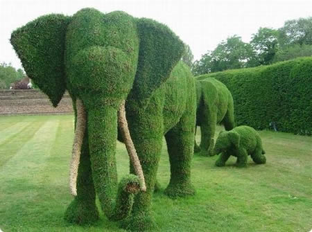 The Art of Lawn Sculpting