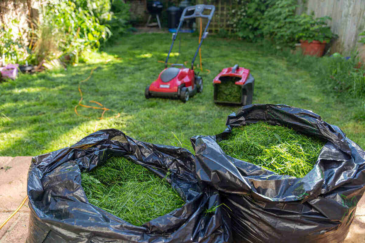 Benefits of Bag Clippings