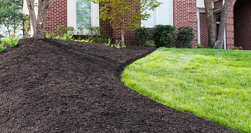 Benefits of Mulch for lawn