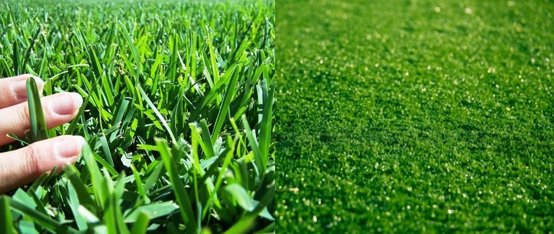 Artificial turf Vs Natural grass