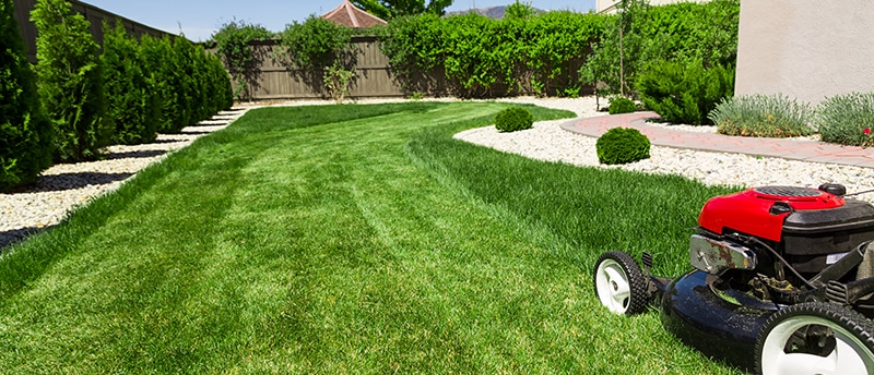 The benefits of regular lawn mowing
