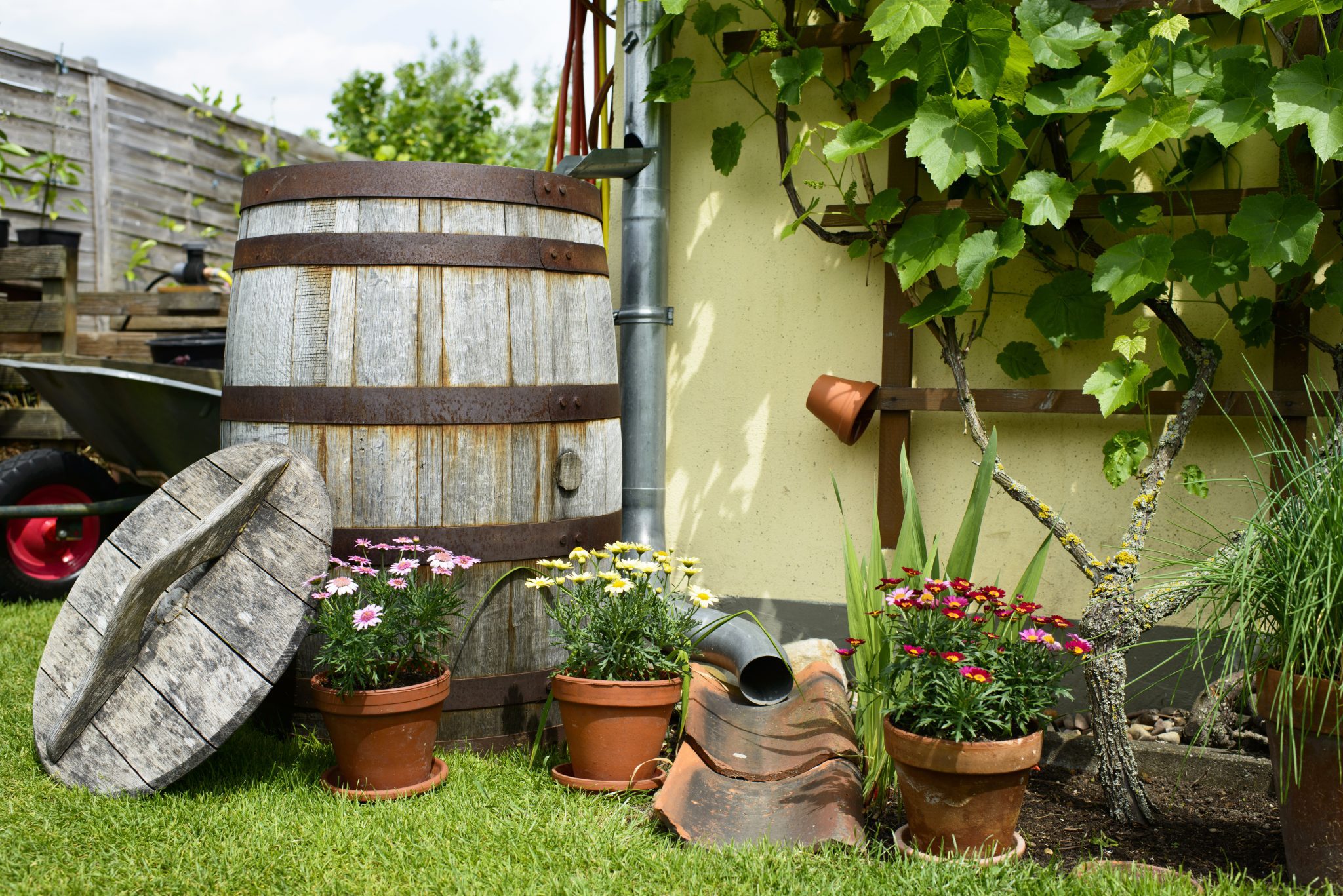 Rainwater harvest for lawn irrigation