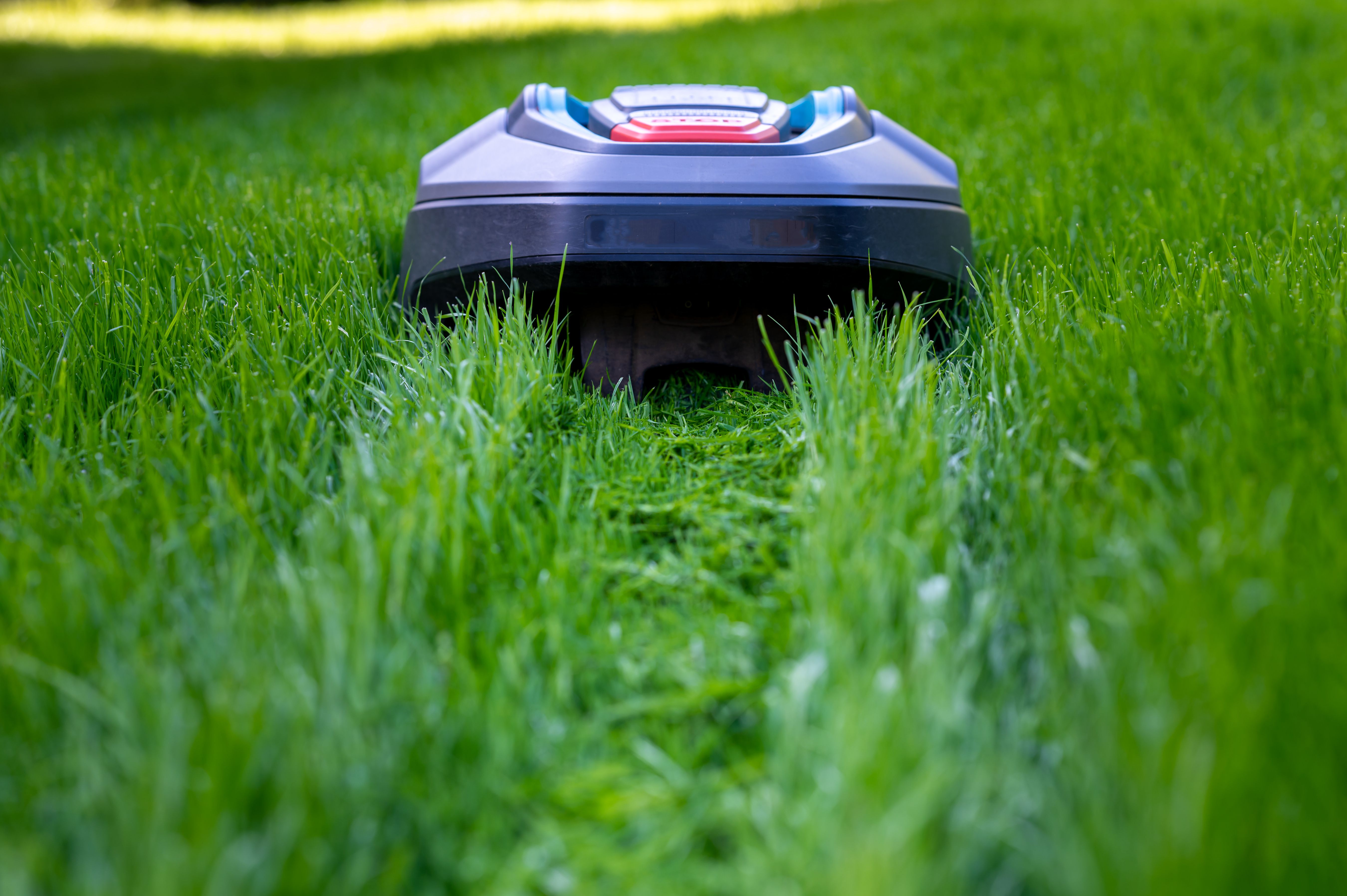 Transform Lawn Care with AI