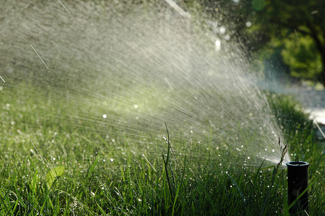 Watering The Lawn At Right Time