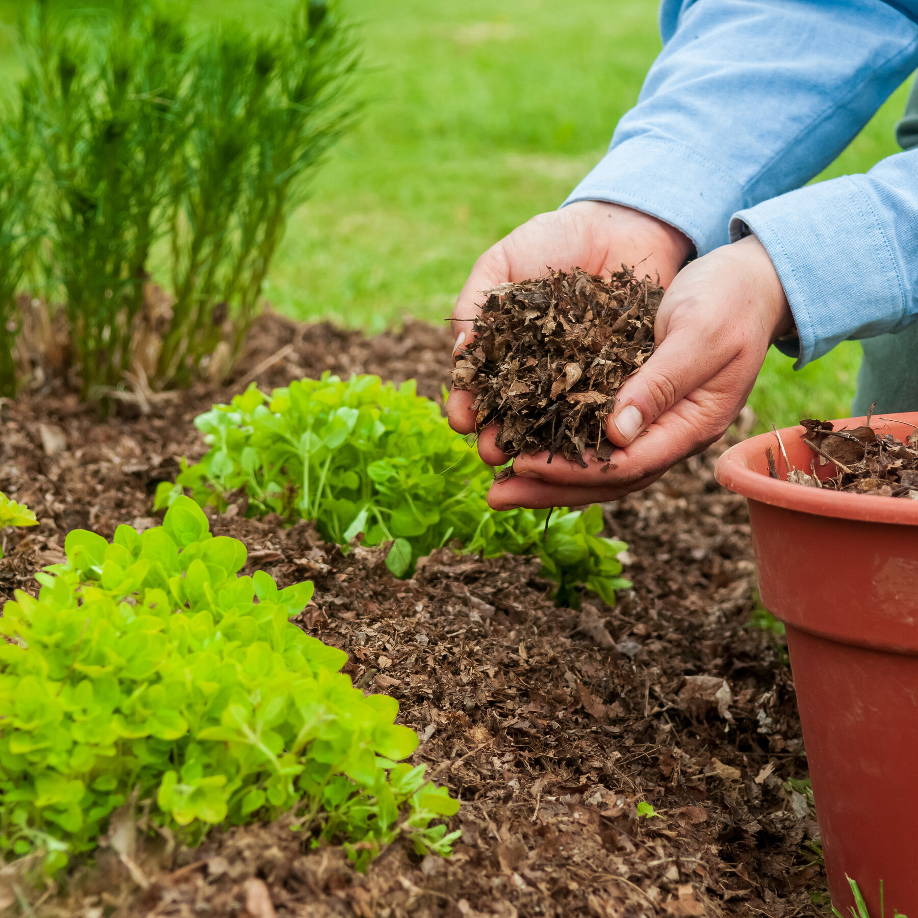 Mulching Magic in Woodmere