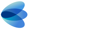 Irisity logo