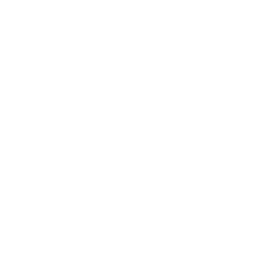 The RealReal Inc logo