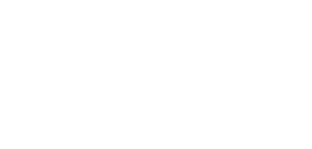 Netcompany Group logo