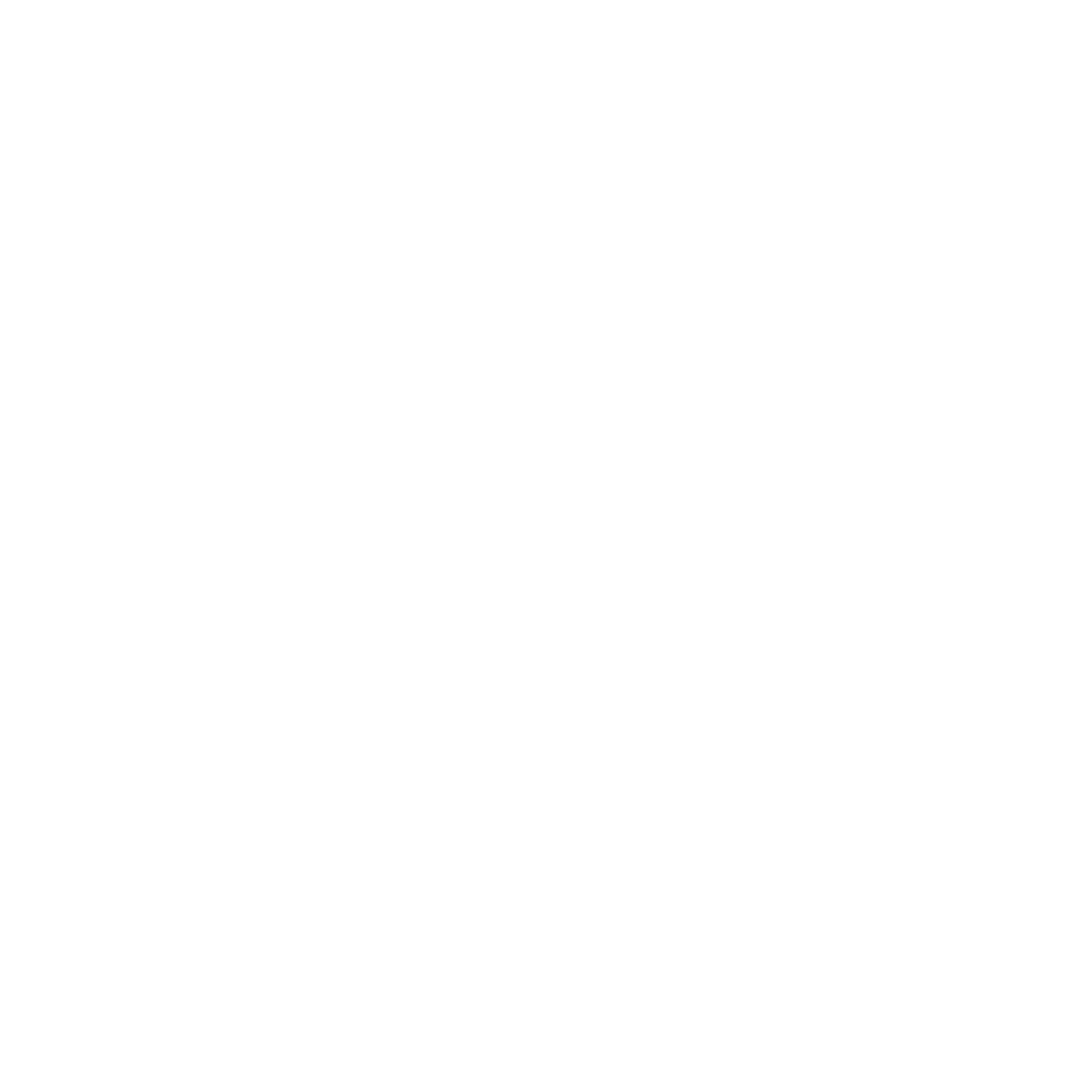 Taiga Motors logo