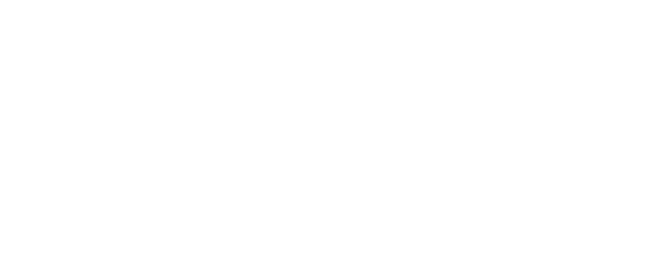 Blackrock Capital Investment Corporation logo