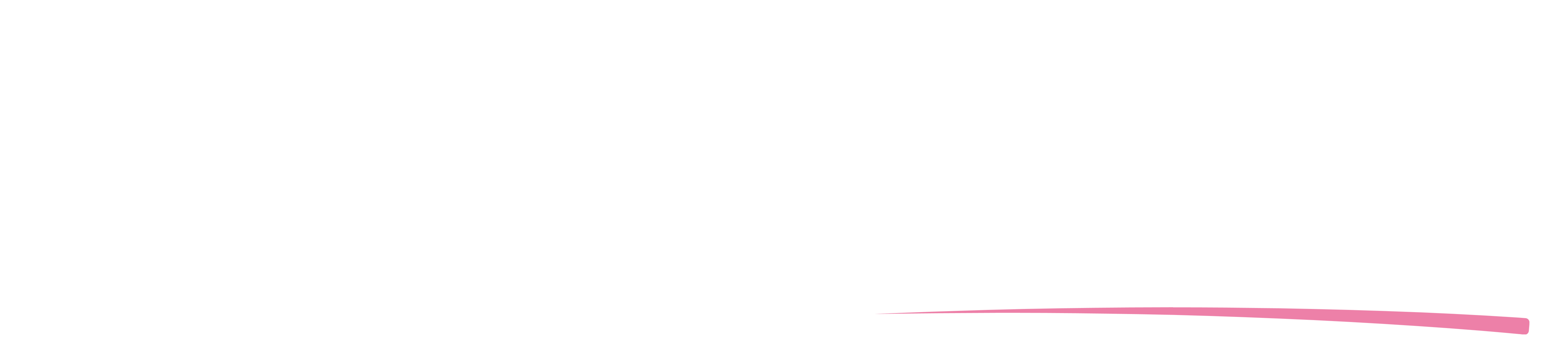 AutoNation Inc logo