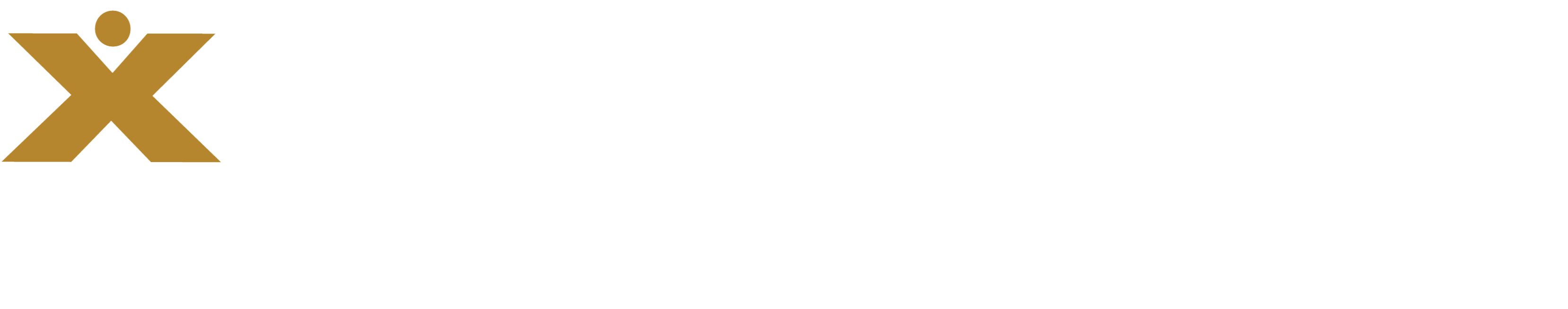 Berkshire Hills Bancorp Inc logo