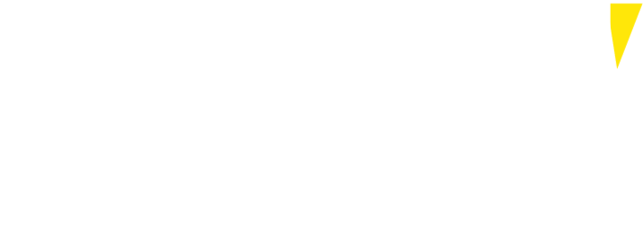 SRV Group logo