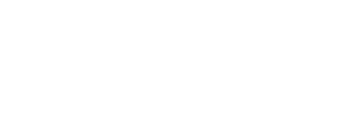Salmon Evolution logo