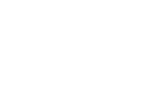 Chesnara logo