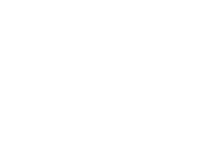 Evolution Mining Limited logo