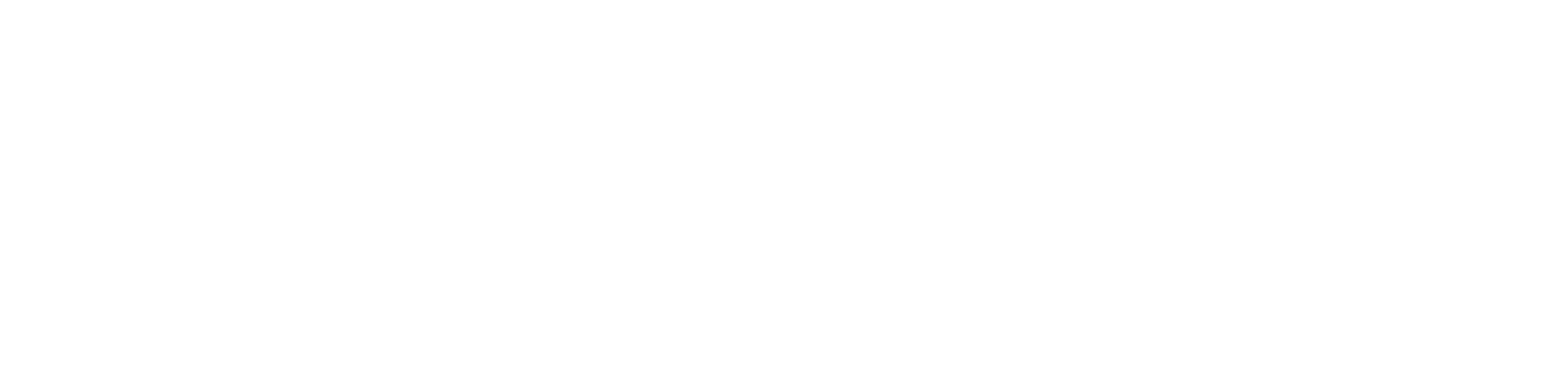 EcoOnline Holding logo