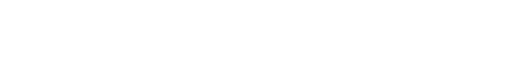 Cary Group logo