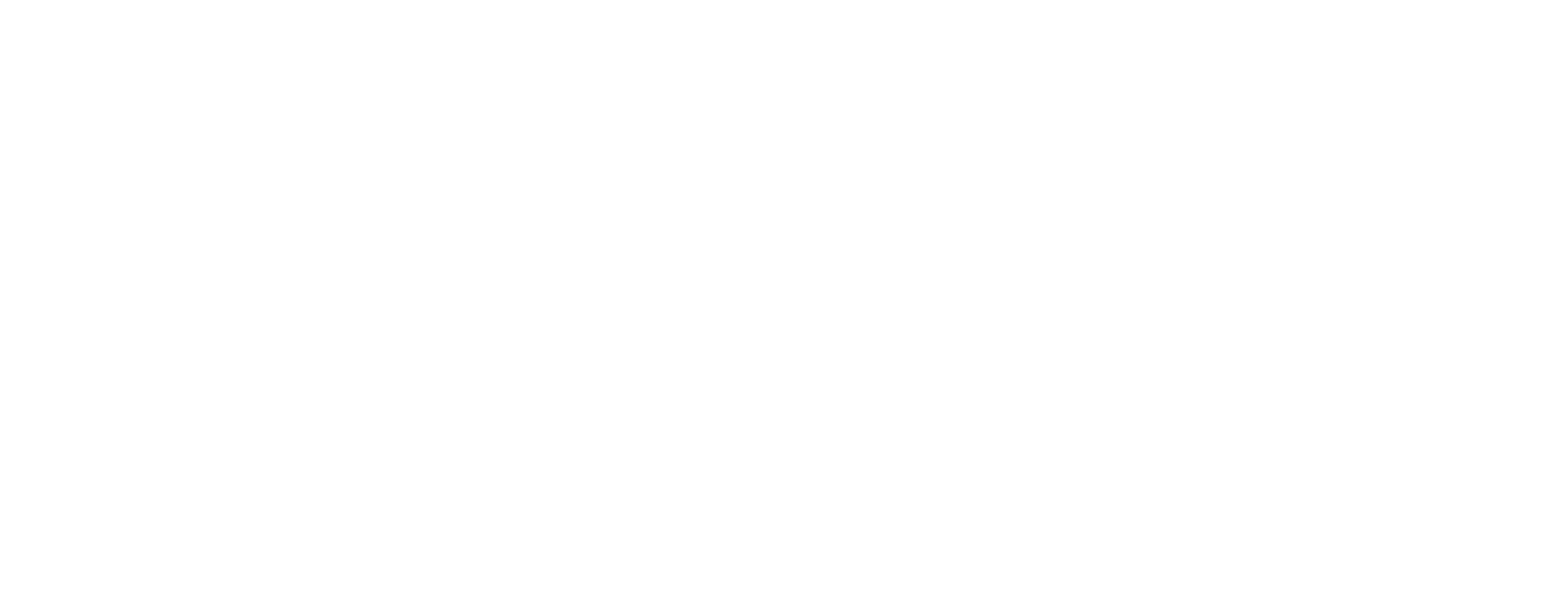 CTEK logo