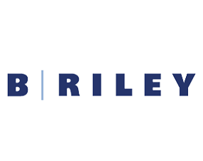 B Riley Financial Inc logo