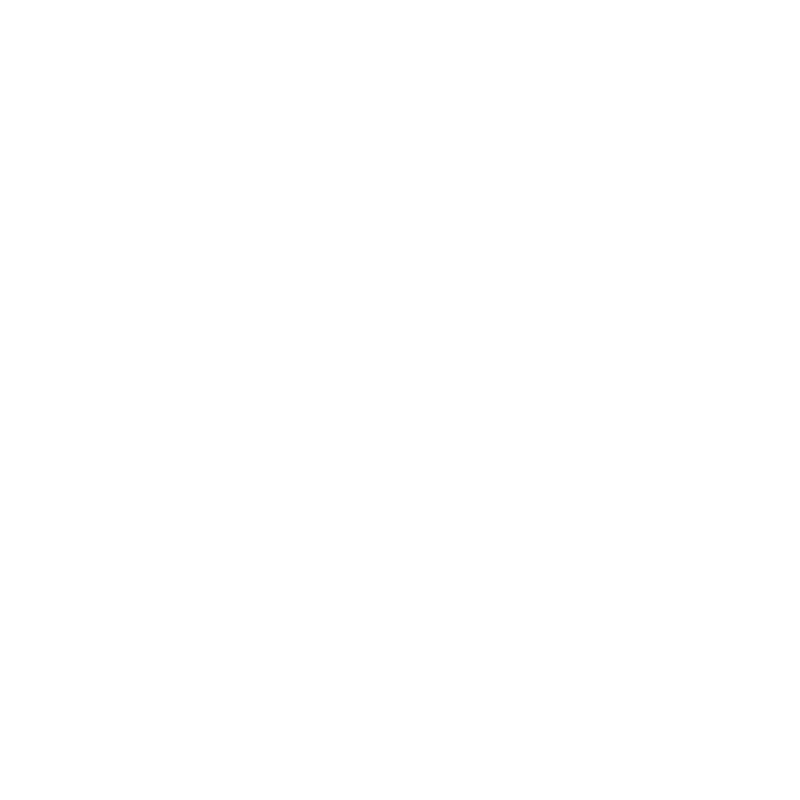 BRP Inc logo