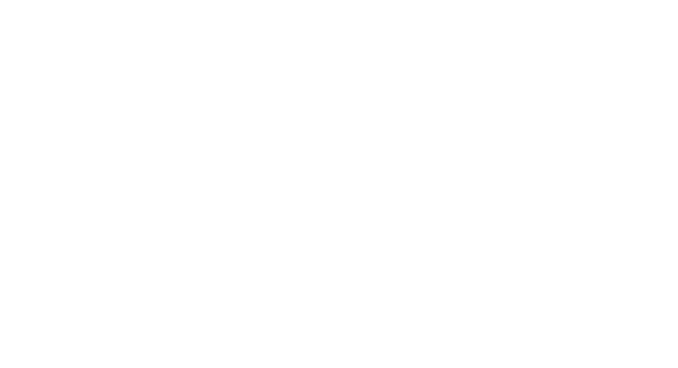 I.A.R Systems Group logo