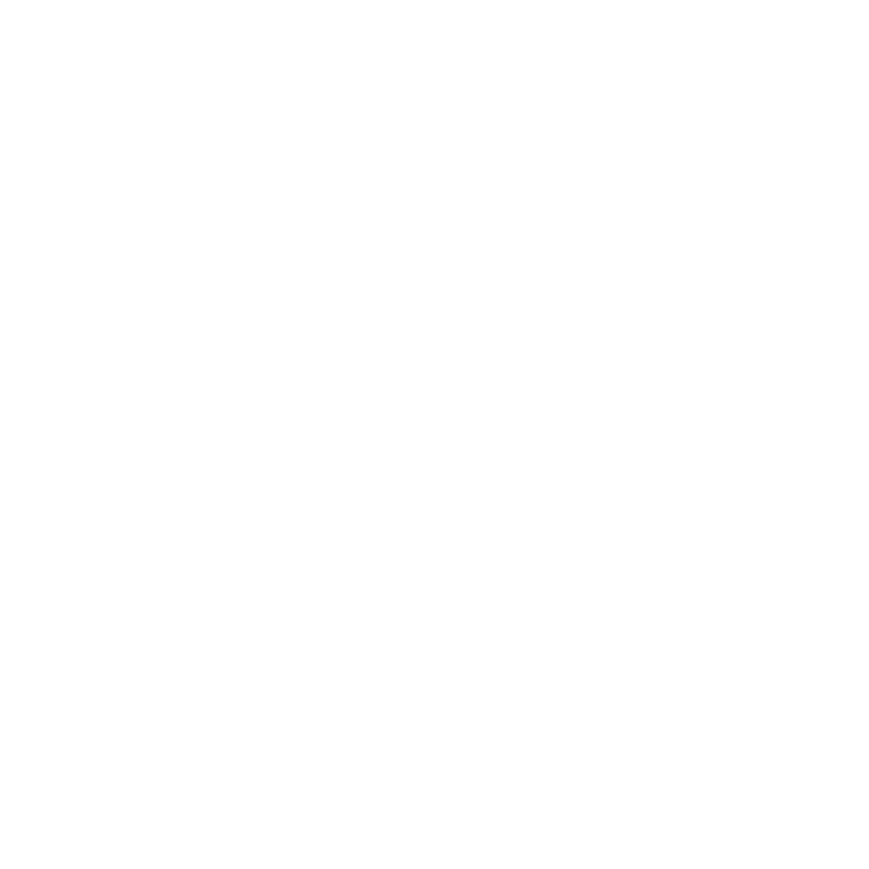 WiseTech Global logo
