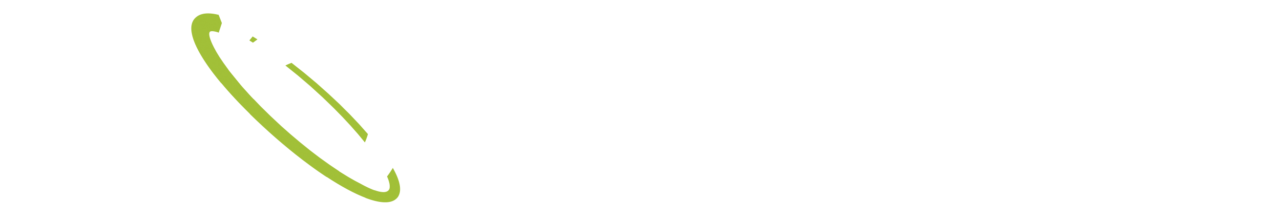 GomSpace Group logo