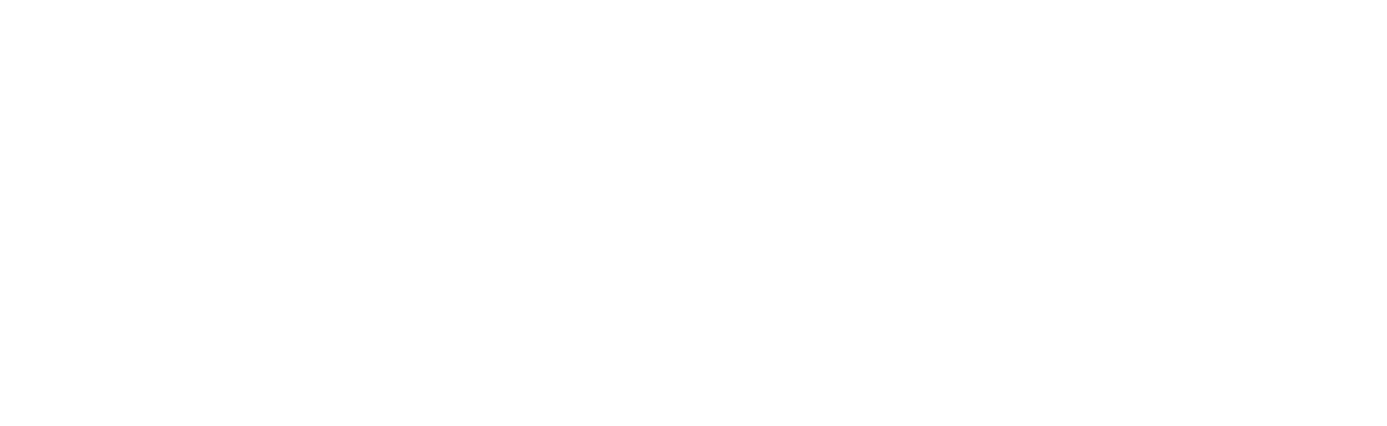 DSV Panalpina logo