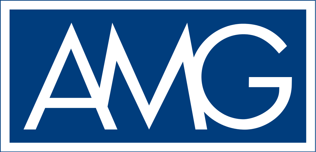 AMG Advanced Metallurgical Group N.V. logo