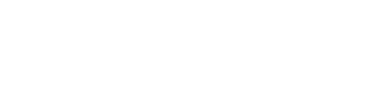 ASML Holding logo