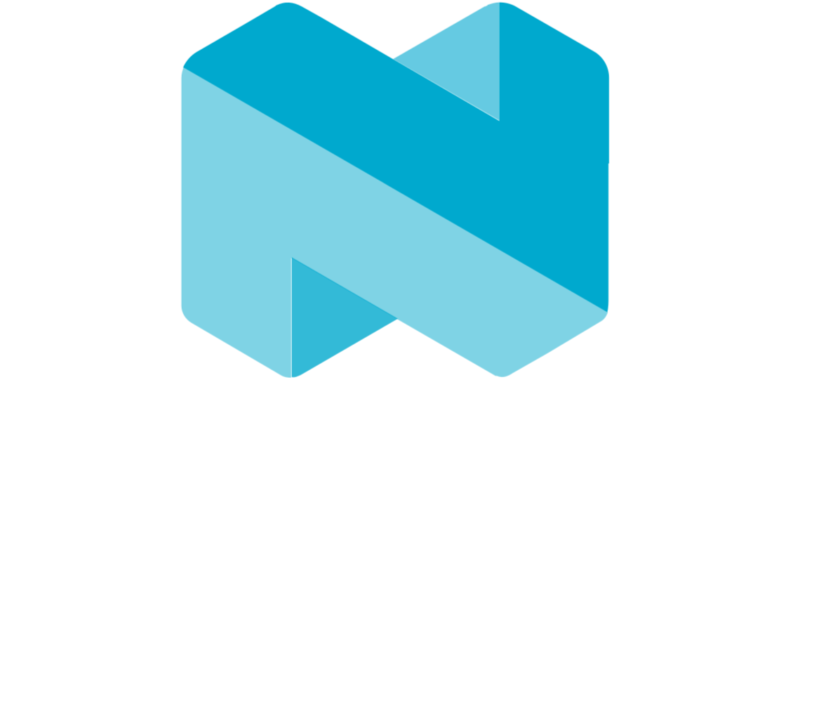 Nordic Semiconductor logo