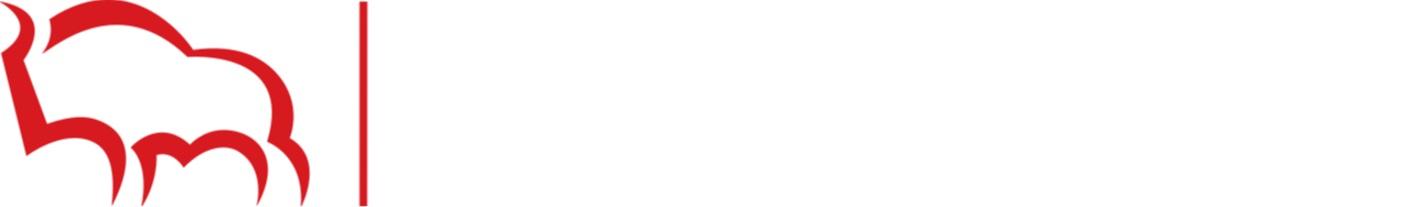 Bank Polska Kasa Opieki logo