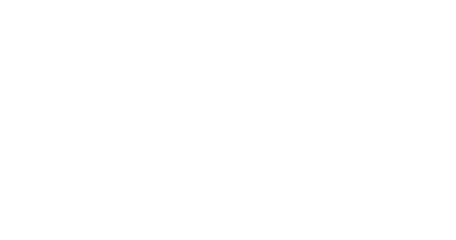 BONESUPPORT HOLDING logo