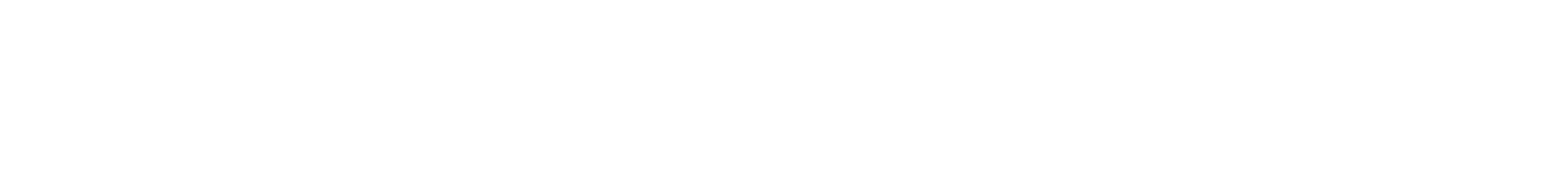 Camping World Holdings Inc logo